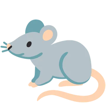 Rat