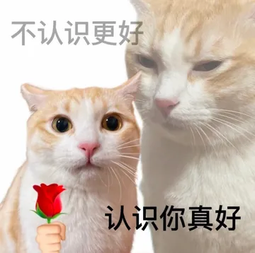 职场怼人必备表情包