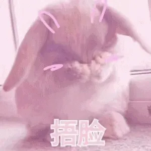 捂脸小兔子