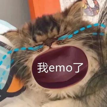 我emo了