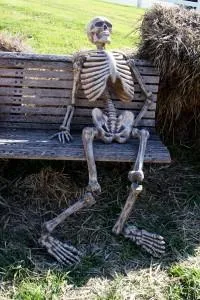 skull memes