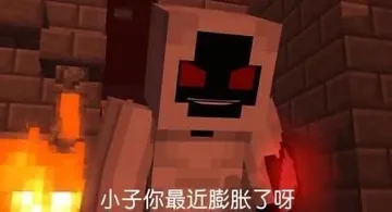 我的世界