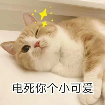 电死你个小可爱