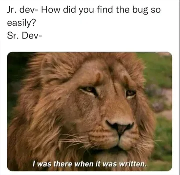 I Was There When The Ancient Code Was Written
