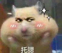托腮!(教皇)