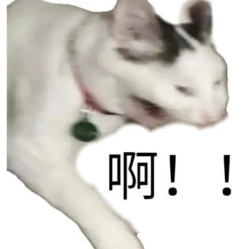 啊!