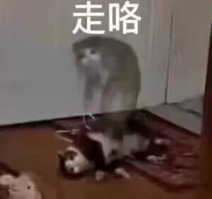 走咯