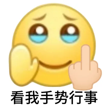 看我手势行事