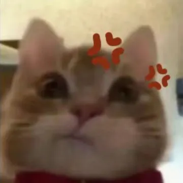 歪嘴小猫表情包 生气