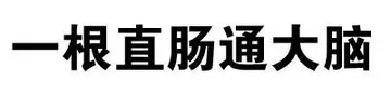 一根直肠通大脑