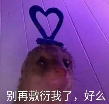 别再敷衍我了，好么(鼠鼠表情包)