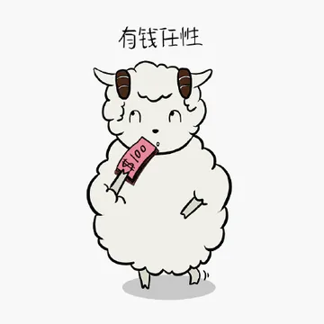 有钱任性