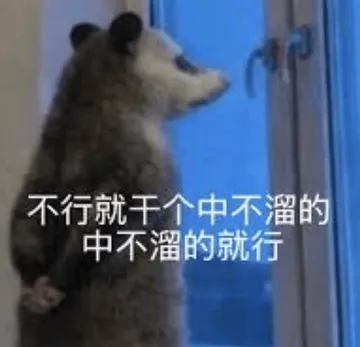 负鼠00014-不行就干个中不溜的中不溜的就行