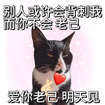 "老己 跟着我 不吃苦"～抽象文案与表情包合集