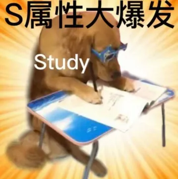 S属性大爆发Study