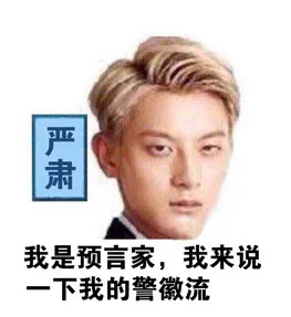 我是预言家，我来说一下我的警徽流