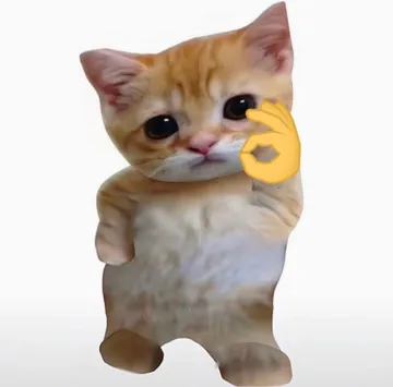 小猫咪自拍表情包