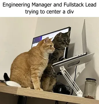 Engineering Manager And Fullstack Lead Trying To Center A Div