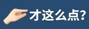才这么点?