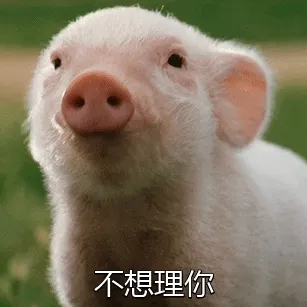 不想理你(猪)