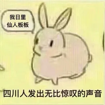 四川人发出无比惊叹的声音（我日里仙人板板）