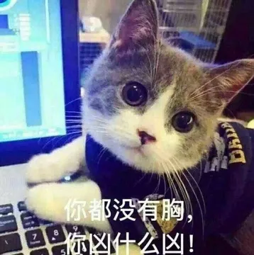 你都没有胸，凶什么凶!（猫咪） - 斗图表情包精选-2018-1-11