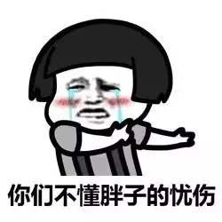 你们不懂胖子的忧伤