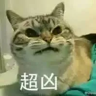猫猫超凶2