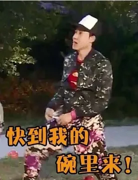 快到我的碗里来
