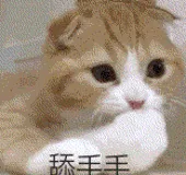 舔手手