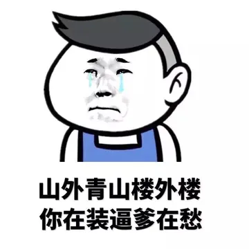 山外青山楼外楼，你在装逼爹在愁