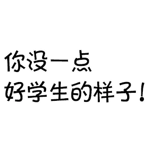 你没一点好学生的样子！