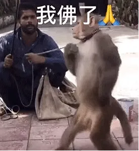 我佛了