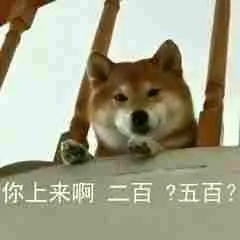 柴犬斗图表情包