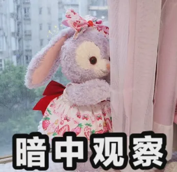 星黛露表情包图片