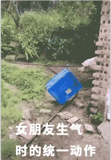 女朋友生气时的统一动作（猪供篮子版）