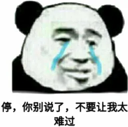 停.你别说了.不要让我太难过