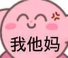 我他妈（星之卡比表情包）