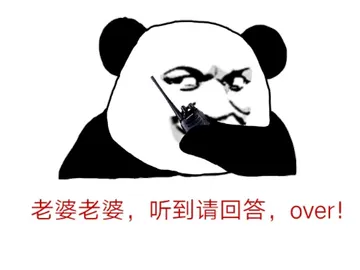 老婆老婆，听到请回答，over！（熊猫）