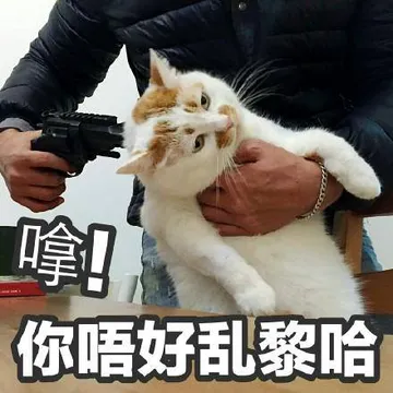 敲级萌~~~