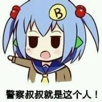 警察叔叔就是这个 人