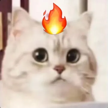 微笑小猫表情包 生气了
