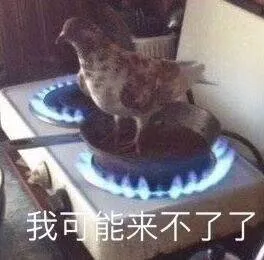 鸽子：我可能来不了了