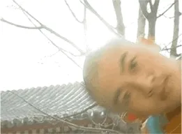还珠格格 memes