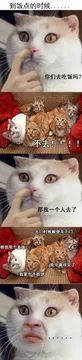 学校宿舍里的日常，和舍友的对话简直了