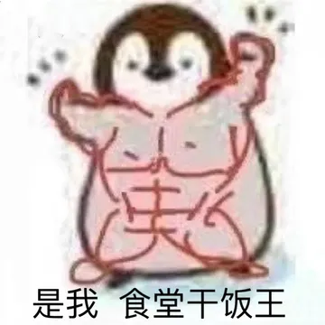 是我食堂干饭王