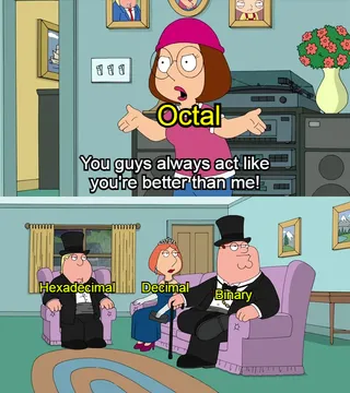 Number Systems Be Like
