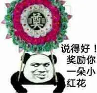 说得好奖励你一朵小红花