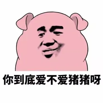 猪猪表情。