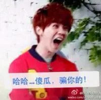 哈哈...傻瓜...骗你的！